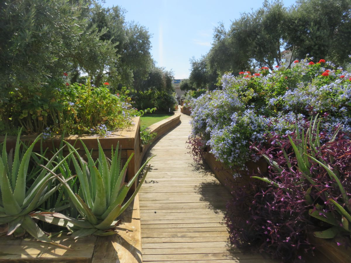 imagini hotel Sentido Trendy Verbena